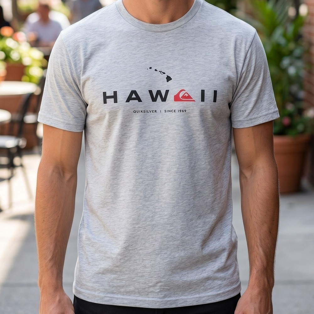 Quiksilver Hawaii Graphic T-Shirt Mens Heather Grey Surf Logo Tee Regular Fit